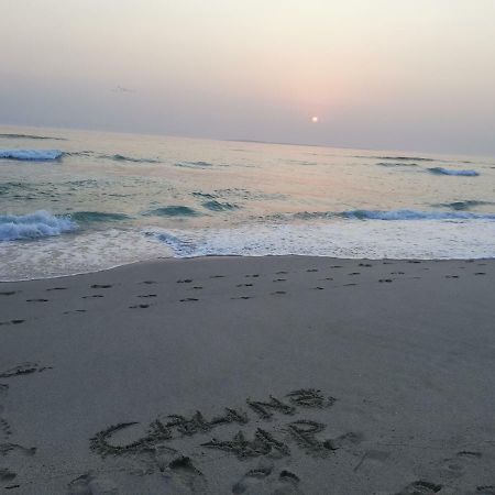 Caline Vip Apartments, Beach Close بلوبيرجستراند المظهر الخارجي الصورة
